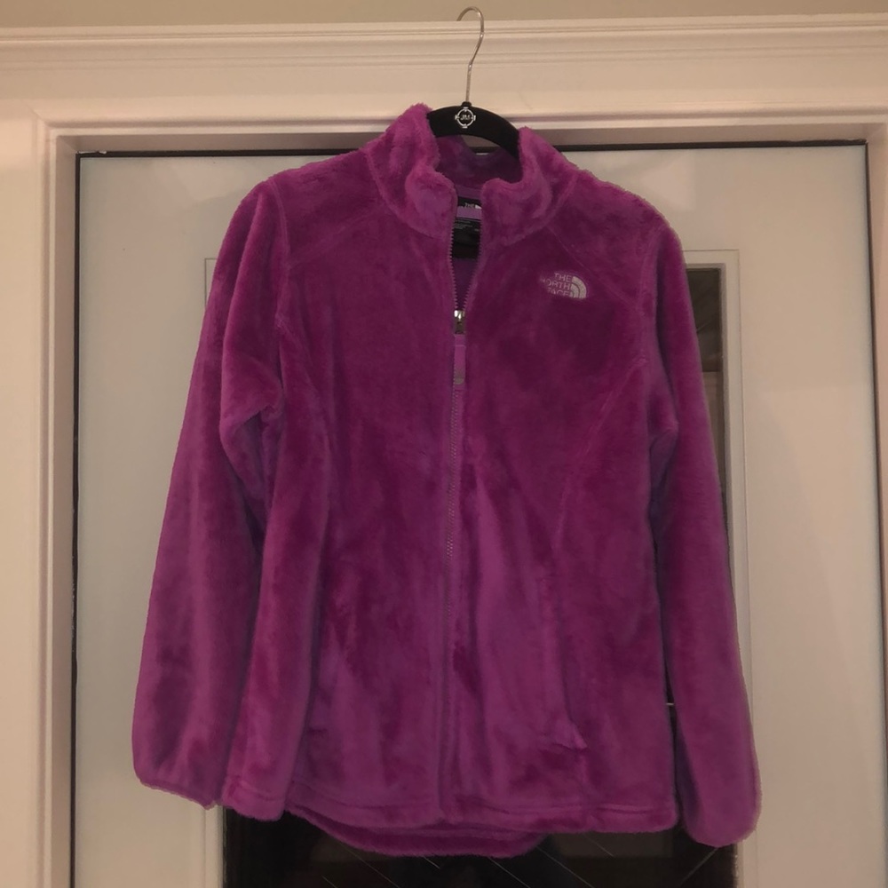 The north face jacket